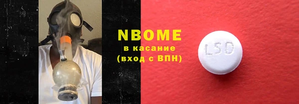 ешки Бородино