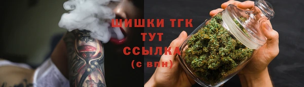 ешки Бородино