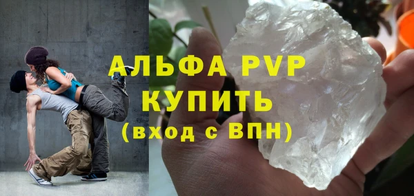 ешки Бородино