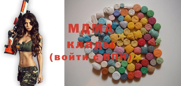 прущие грибы Верея