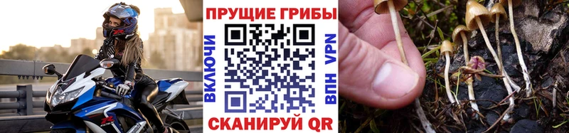 Галлюциногенные грибы мухоморы  Ростов 