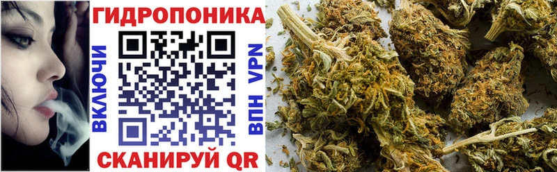 Каннабис план  купить наркотик  Ростов 